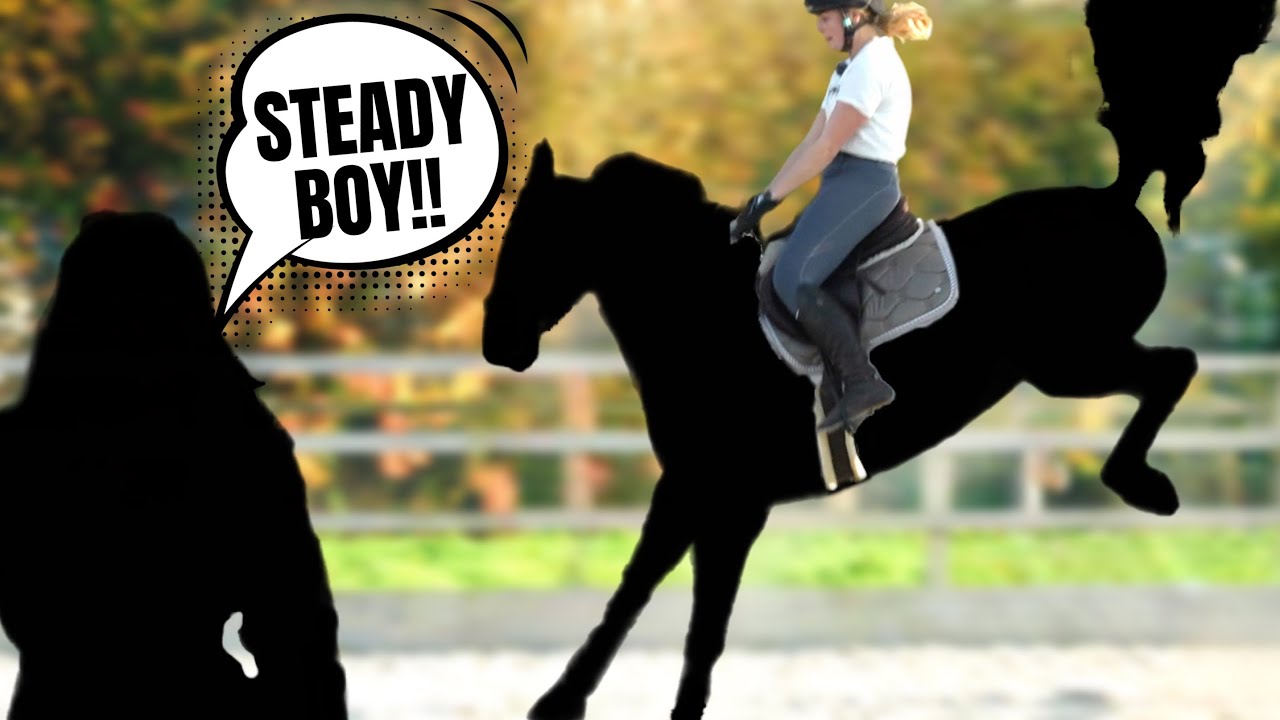 I RIDE A YOUTUBER S HORSE YouTube I RIDE A YOUTUBER S HORSE YouTube