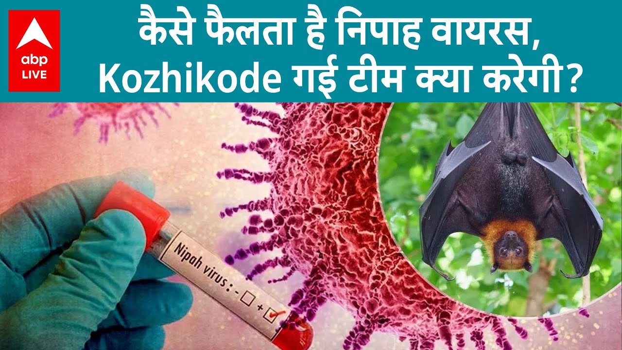 Nipah Virus: कैसे फैलता है निपाह वायरस? कैसे काम कर रही है केरल की वो टीम, जो इस पर रख रही है नजर