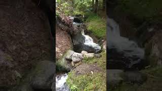 #bushcraft #wildlife #river our bushcraft hut with man made pool @G.O.BOUTDOORS