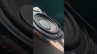 LOW FREQUENCY BASS TEST SUBWOOFER 