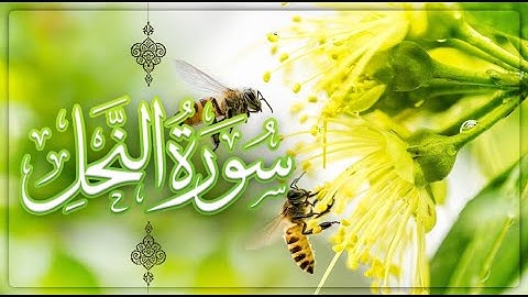 سورة النحل كاملة - حسن صالح