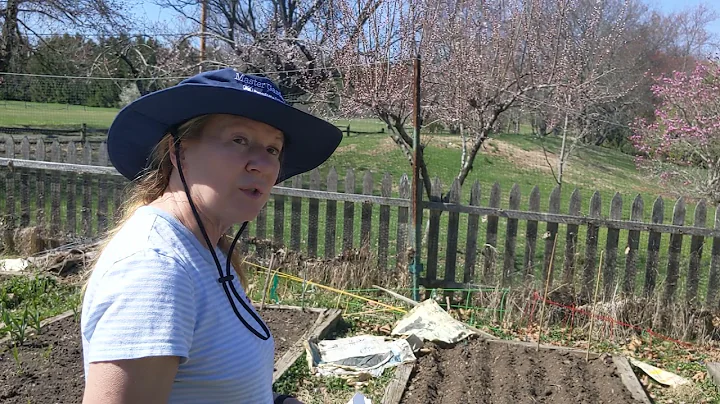 Gardening With Carolyn and Susan Snipes-Wells #3 -...