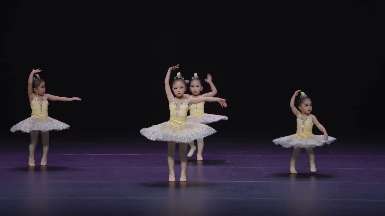 4  아기새의 첫 비행