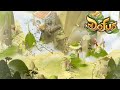 TOUS LES DOFUS CONCERNÉS !