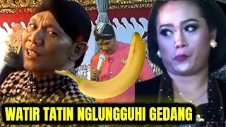 Watir Tatin nglungguhi gedang, gedange langsung di pindah😁