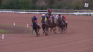 Vidéo de la course PMU PRIX DE CHAUME