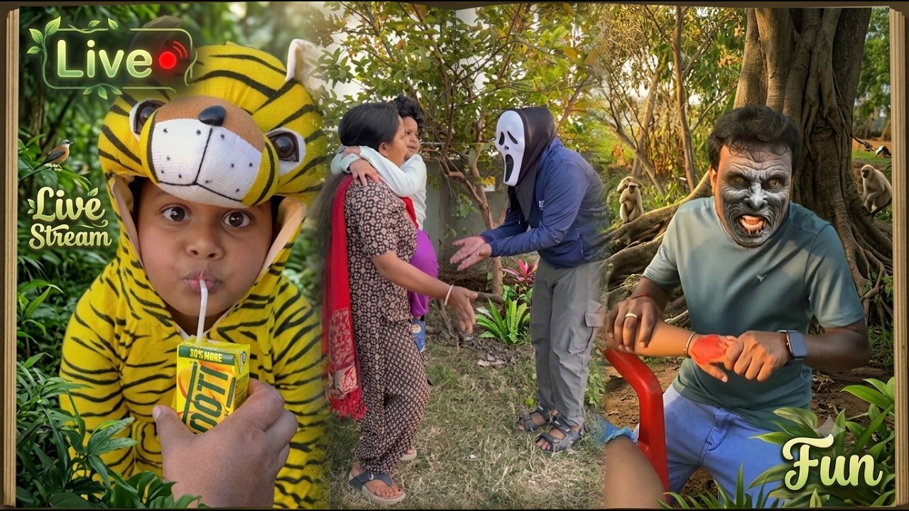 Best Funny Videos Live Stream 🤣 Don't Miss It  🤪🤗😜