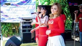 FULL ALBUM TRIAS - HAPPY PARTY PPC COMMUNITY - SINANGGUL MLONGGO JEPARA