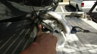 2017 Cheverolet Corvette GS Tow Hook Location
