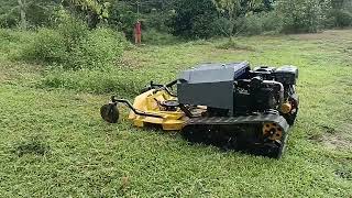 Remote Control Mower