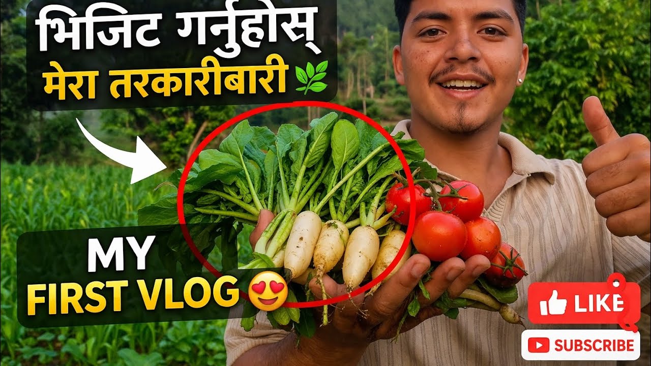 My First Vlog From Tarkaribari 🌿 | Fresh Organic Vegetables 😍