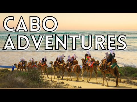فيديو: ركوب الجمال في لوس كابوس مع Cabo Adventures
