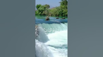 آيات القرآن رحمه الله تعالى