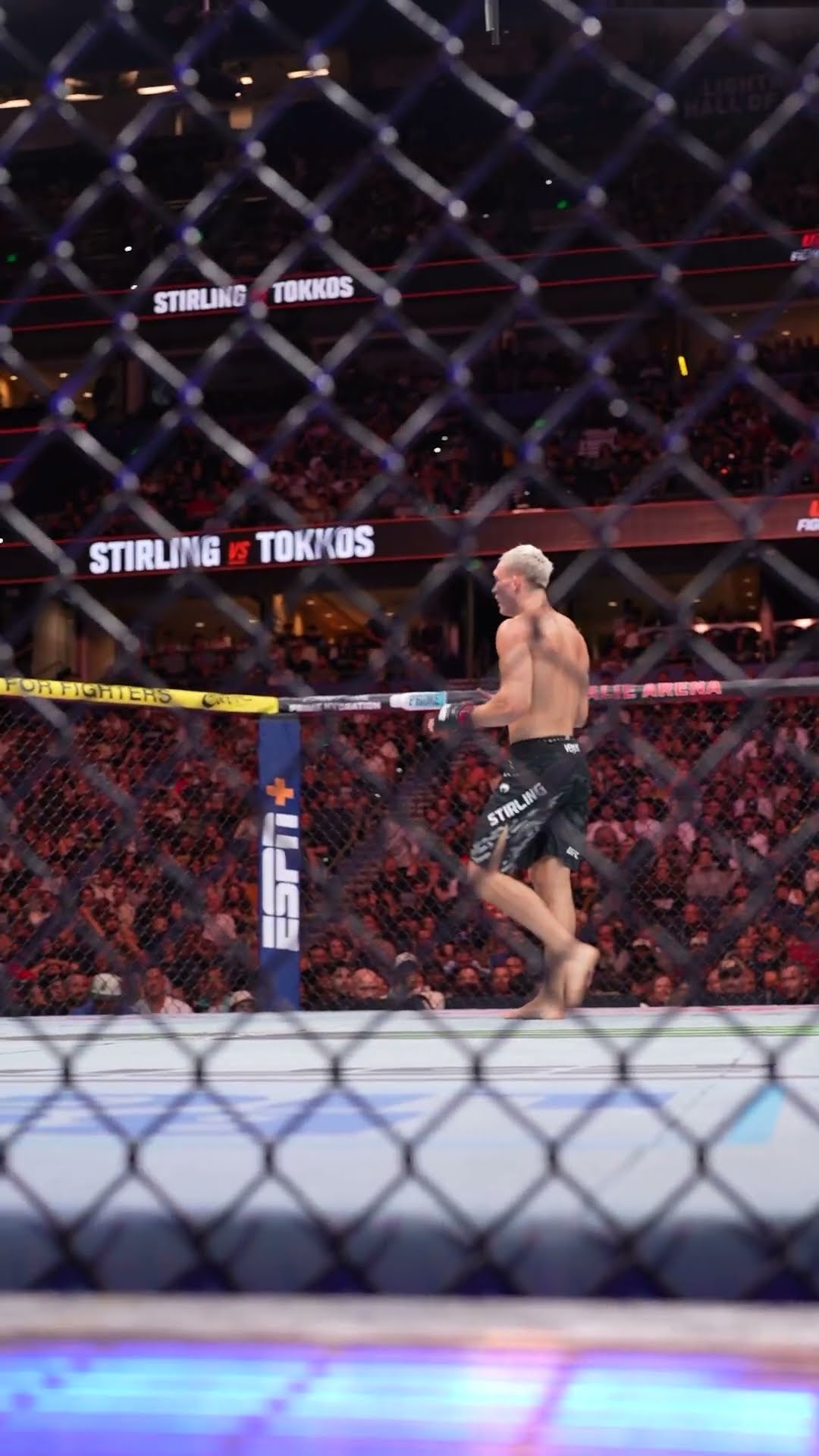 Navajo Stirling wins his UFC debut! ? #ufctampa