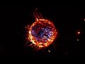 HeLa-Copter in Space