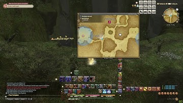 Final Fantasy XIV  Sylvan Sigh Location