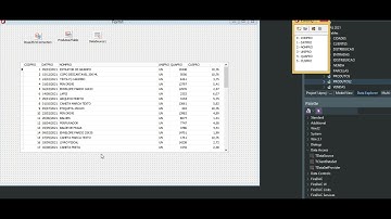 PICKLIST NO DBGRID - DELPHI 10.4