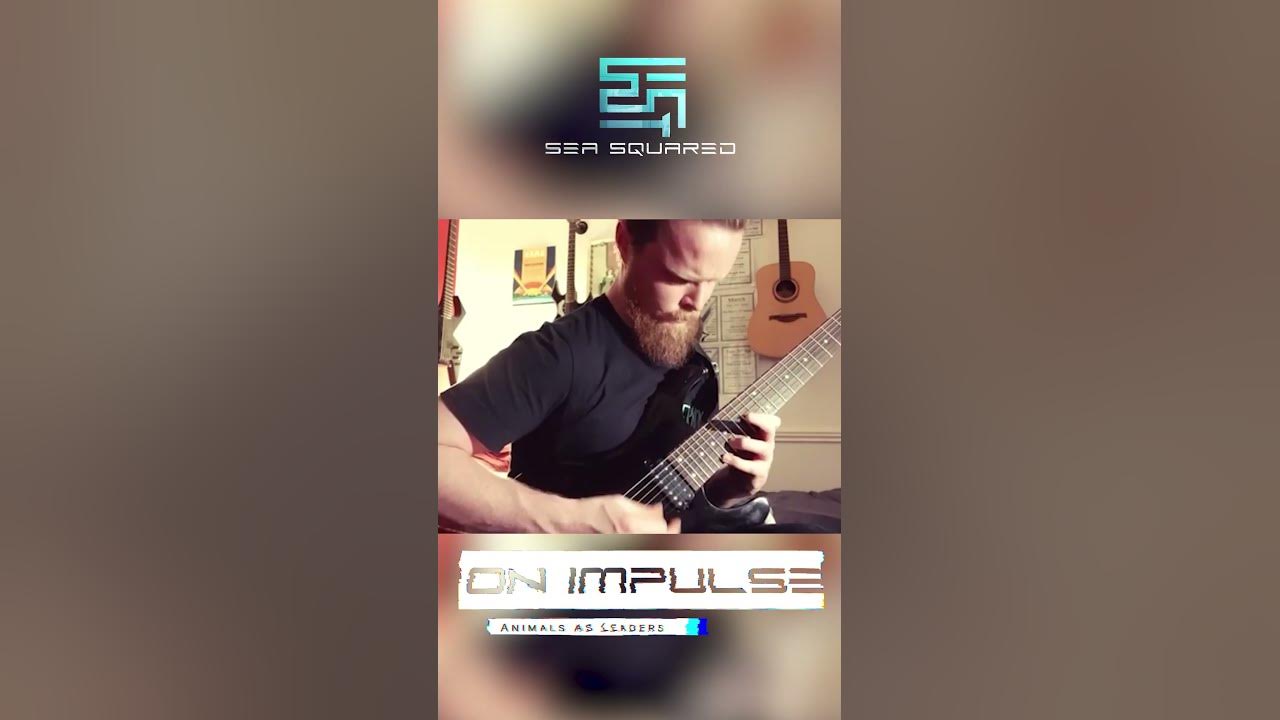 On Impulse (Solo) - Animals as Leaders #solo #guitar #animalsasleaders
