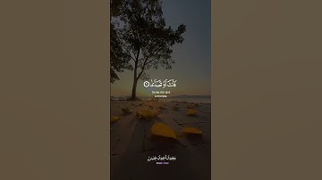 ما تيسر من سورة عبس| أداء القارئ محمد أحمد حسن #تلاوة_خاشعة #القارئ_محمد_احمد_حسن #طالب_الازهر #قرآن