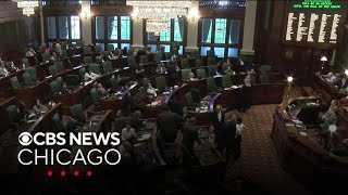 Illinois House passes megaprojects bill support new Bears stadium in Arlington Heights