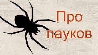 Мой фильм" Про пауков" Мой фильм" Про пауков"