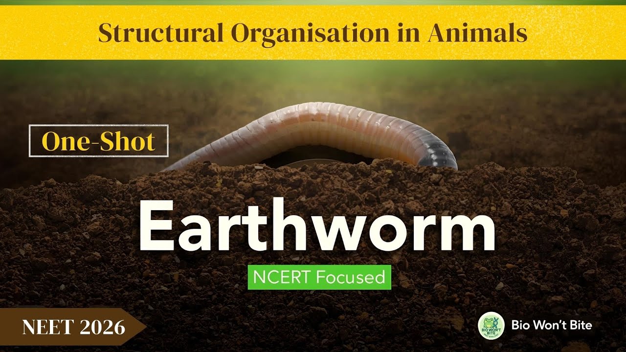 Structural Organisation in Animals Class 11 | Earthworm | One Shot ...