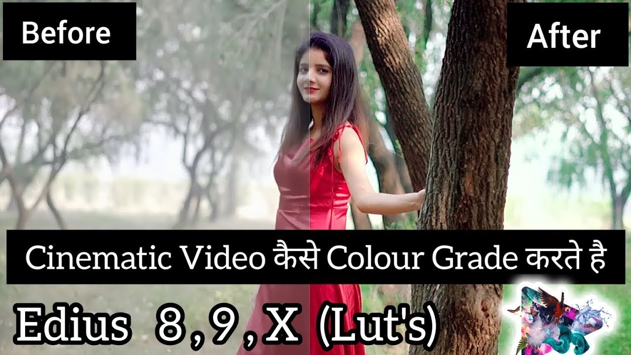 How to Colour Grade Video in Edius ||edius 11 colour grading|edius video color grading,