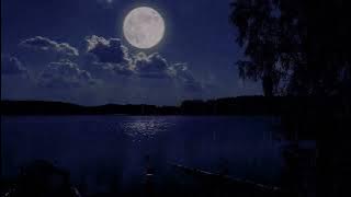 π§ Midnight Moon & Rain | 10 Hours of Relaxing Rain Sounds Beneath the Stars