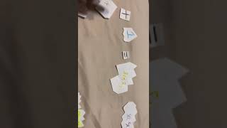Trig project #31