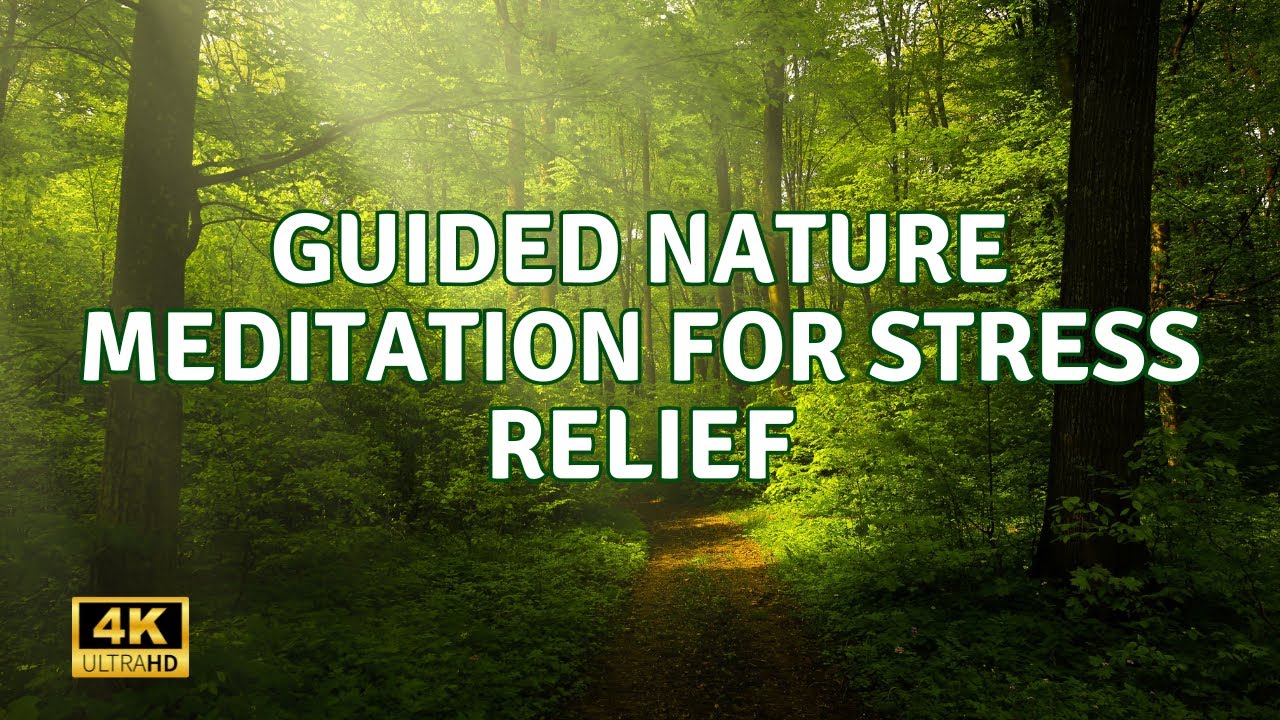 Guided Nature Meditation for Stress Relief - 30 Minutes - YouTube