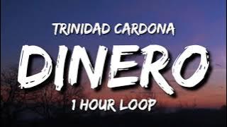 Trinidad Cardona - Dinero (1 Hour Loop) | She take my dinero