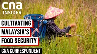 Malaysia Grows Sustainable Farming To Modernise Agriculture | CNA Correspondent