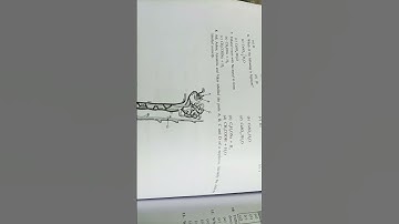 CBSE class 10th science  sample paper//2023  lesson 10  pre board paper based on cbse pattern