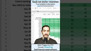 I created a free calculator for net dollar retention rate and cohort analysis - steal it!