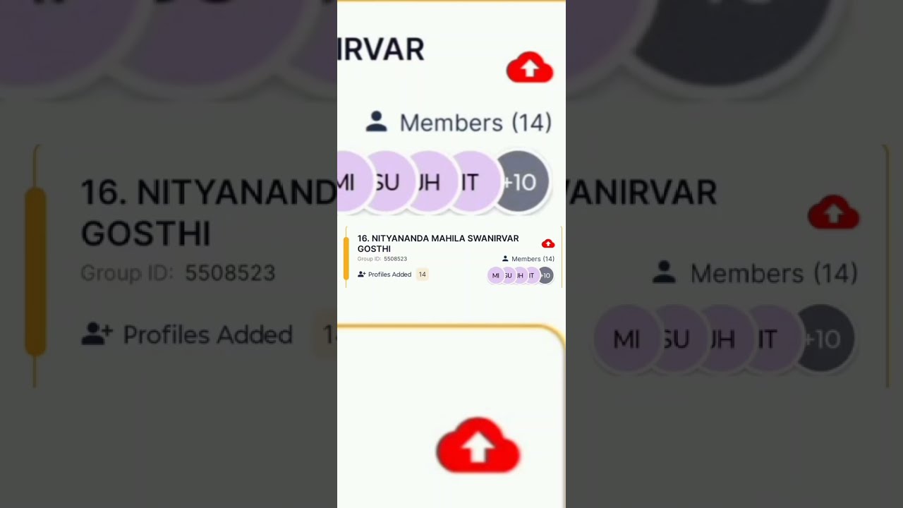  RED CLOUD PROBLEM SOLVED in nrlm VPRP entitlement and Livelihood survey 2025