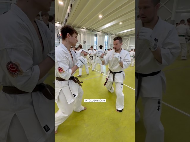 Baltic Fighting Camp 2026 #kyokushin #shinkyokushin #karate #1kyokushin #一極真 #極真会館