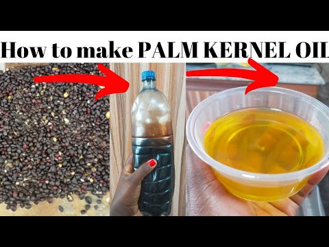 Extracting Palm Oil From Palm Kernel At Home – SHOP AFRICA USA