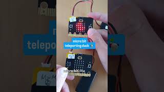 Celebrity How to create a teleporting duck with the micro:bit. Beyond Basics with the micro:bit. Wealth