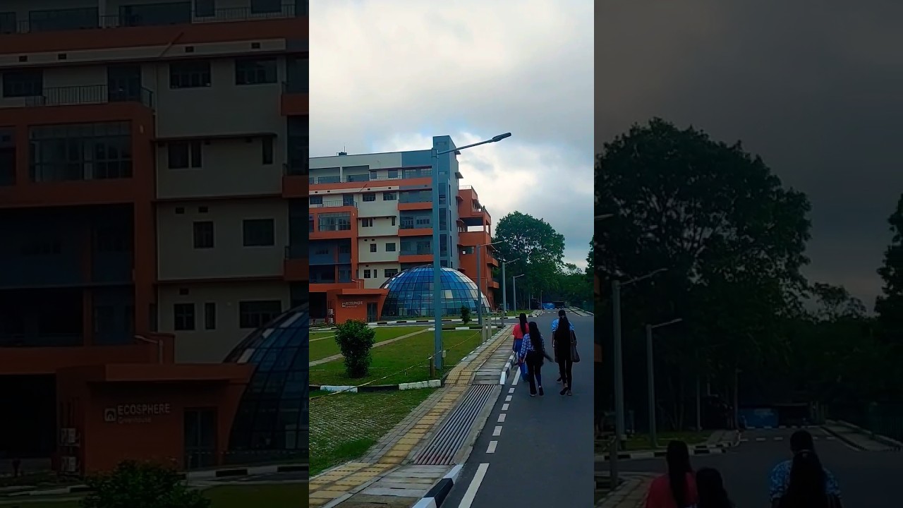 Rajarata university  Technology Faculty ✨️🥰