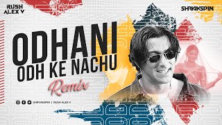 Odhani Odh Ke Nachu | Remix | Tere Naam | Salman Khan, Bhoomika Chawla | DJ Shryakspin Rush Alex V