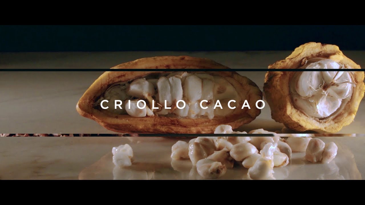 Ark of Taste in Negros