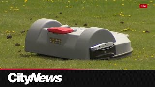 City of Calgary testing out autonomous mower pilot program to see if equipment makes the cut