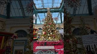 POV: You just stepped into Bellagio’s Conservatory at Christmas