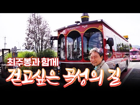 #섬진강 #<strong>토란</strong> #섬진강열차 #추추버스 #통모차 [테마기행.길 92]