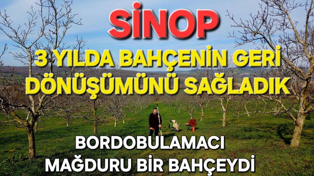 3 YILDA BAHÇENİN GERİ DÖNÜŞÜMÜNÜ SAĞLADIK.SİNOP