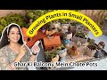 🪴छोटे गमलों में पौधे लगाने के शानदार तरीके | Tiny Planter Gardening Hacks for Urban Homes