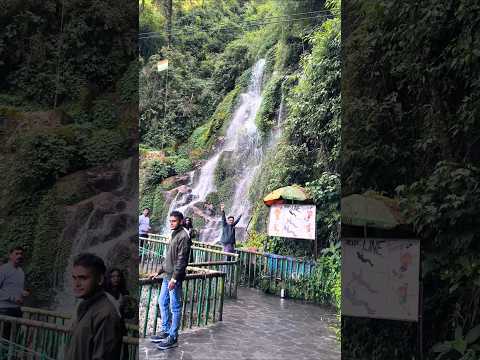 নাচিবা মোৰে হিয়াতে ৰৈ 💃