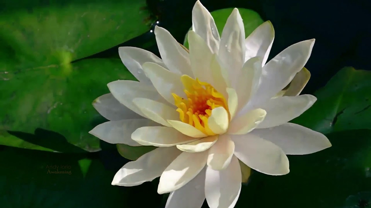 AWAKENING - Andy Iorio - YouTube