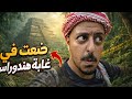 جبت العيد وضعت في الغابات 