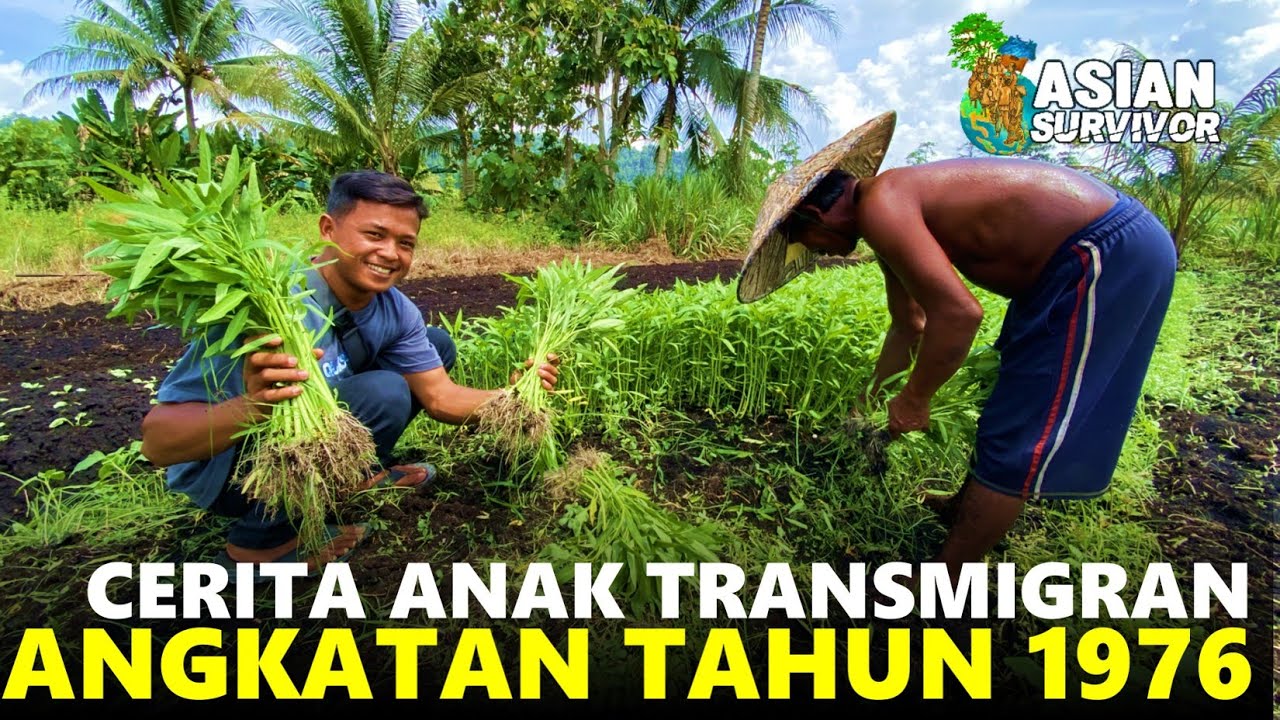 CERITA ANAK TRANSMIGRAN TAHUN 1976 DI KARANG JENAWI, DESA GUNUNG PUTIH, TANJUNG PALAS, BULUNGAN
